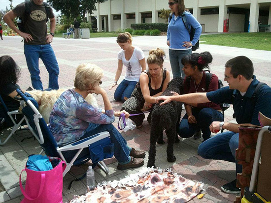 photo of people petting dog