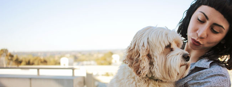 photo of person holding therapy dog Baxter