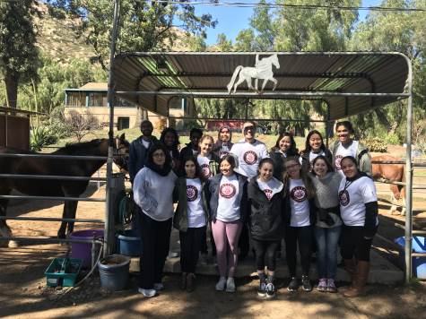 photo: AUP students at Magic Horse riding center