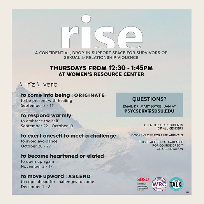 rise group flyer