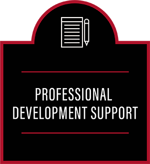 professional development support