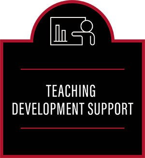 Teaching development support